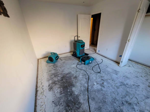 Best Local water damage restoration  in Arcola, VA