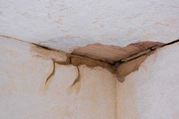 Best 24/7 water damage repair  in Arcola, VA