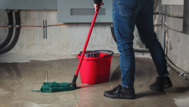 Best Residential water damage restoration  in Arcola, VA