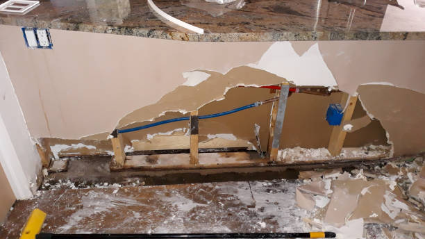 Best Water damage mitigation services  in Arcola, VA