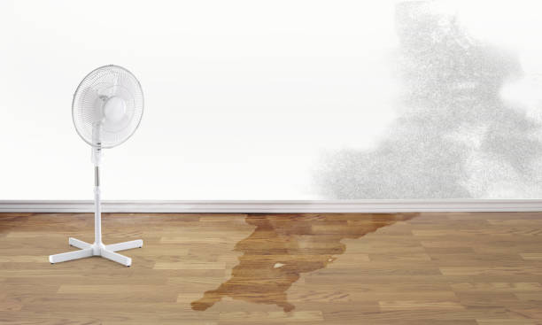 Best Commercial water damage restoration  in Arcola, VA