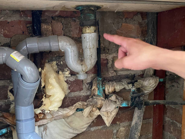 Best Sewage cleanup and water damage restoration  in Arcola, VA